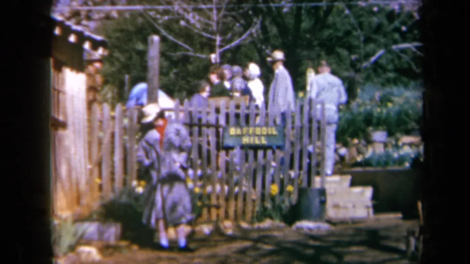 A woman in a hat stands in front of the Daffodil Hill fence while other visitors gather near flowers and trees behind her.