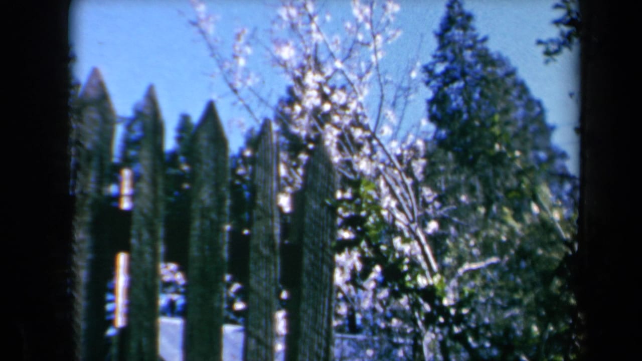 1969 California 8mm frame showing a wooden picket fence, leafy trees, blue sky, and garden foliage in bright sun.