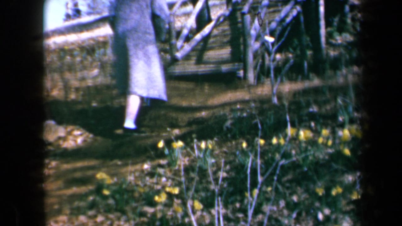 Person in a long coat walks up wooden garden steps beside yellow daffodils.