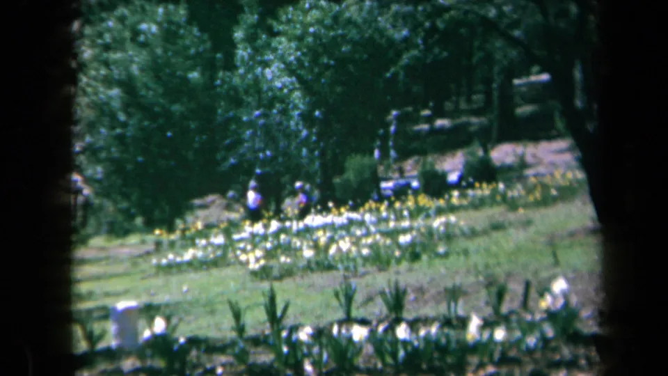 1969 California 8mm frame with a wide garden, blooming flowers, trees, and small distant people near the beds.