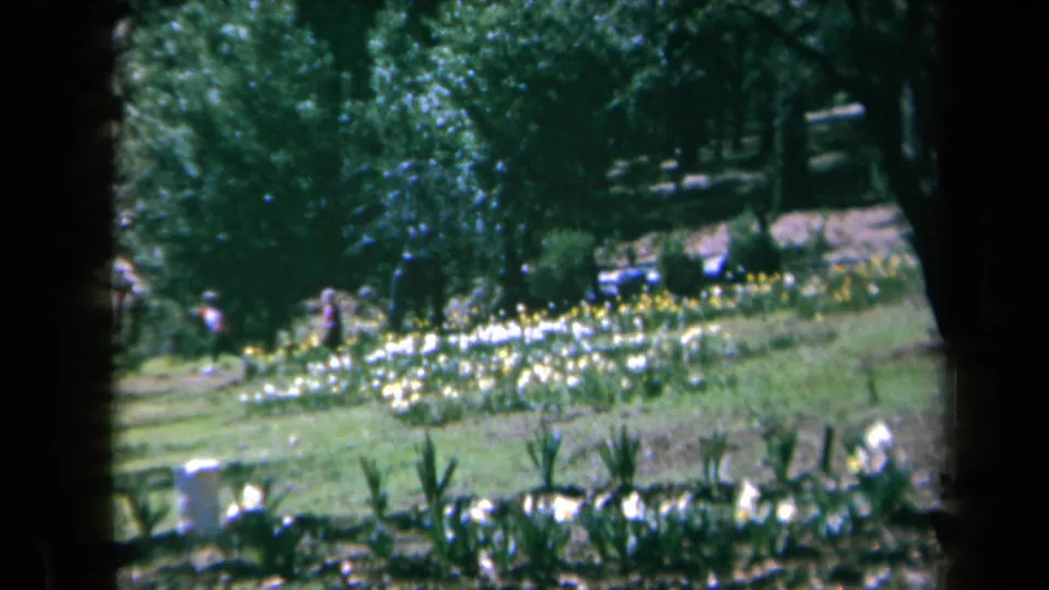 1969 California 8mm frame showing a soft, wide garden scene with distant people beside rows of flowers.