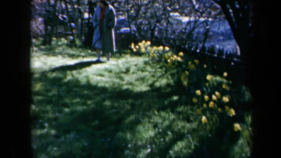 1969 California home-movie frame of a woman in a long coat walking through dappled grass near yellow daffodils and trees.