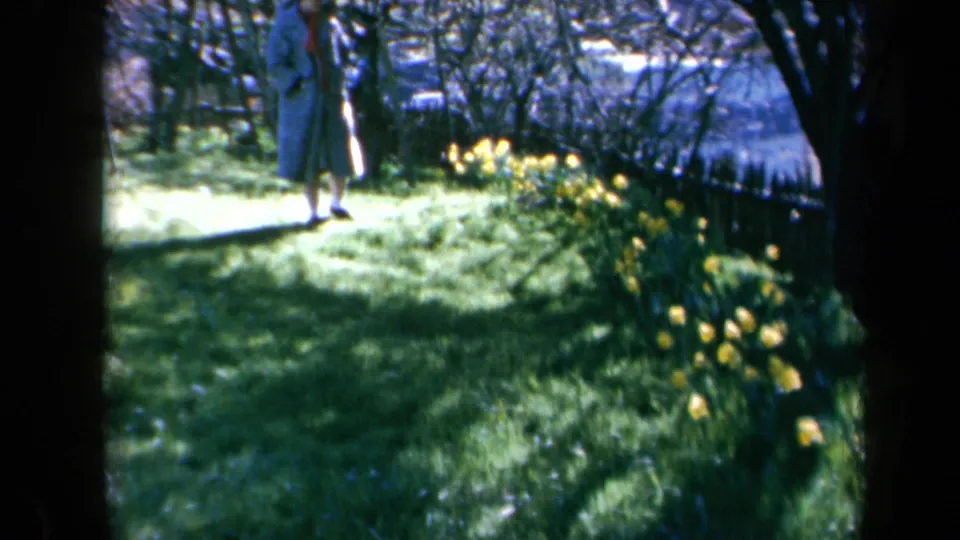 A 1969 California garden frame shows the woman near the left edge, walking past daffodils under tree shade.