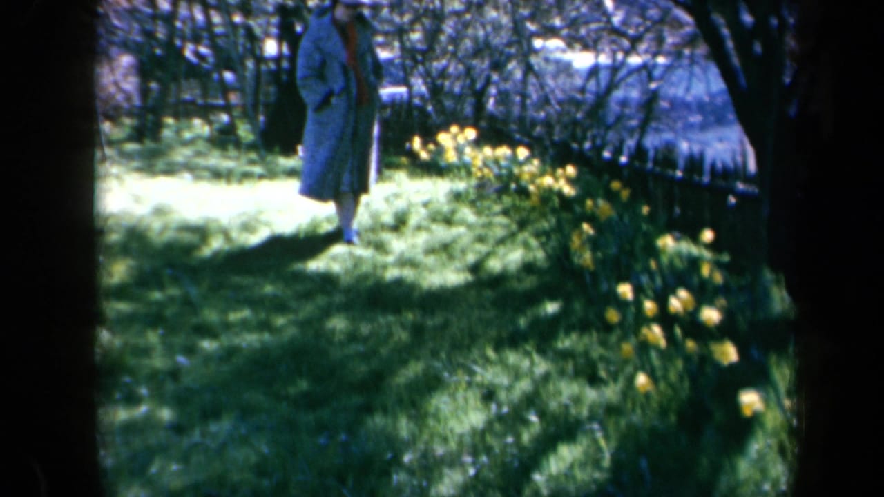 Woman in a long blue coat walks on grass beside yellow daffodils.