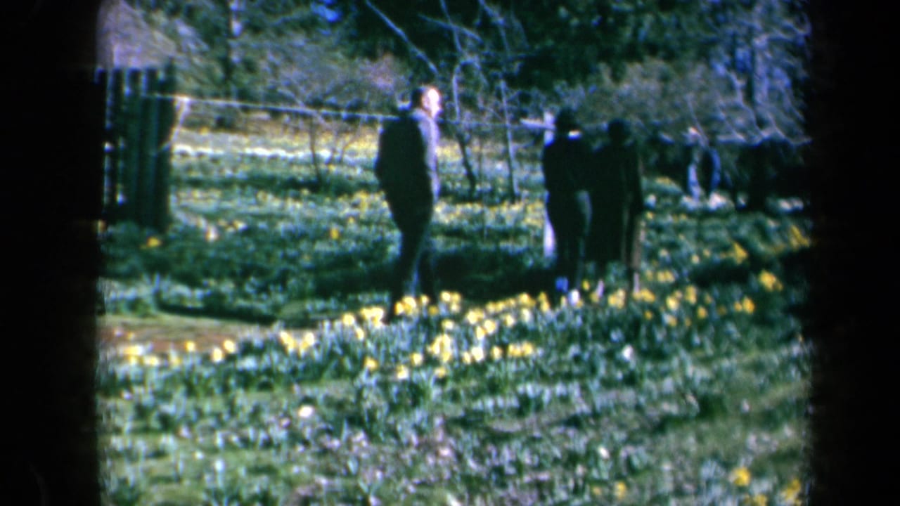 Several people walk in a flower garden bordered by trees and a fence.