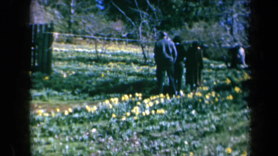 A home-movie frame shows adults in a California flower garden, with yellow blooms, grass, trees, and a fence visible through soft 8mm focus.