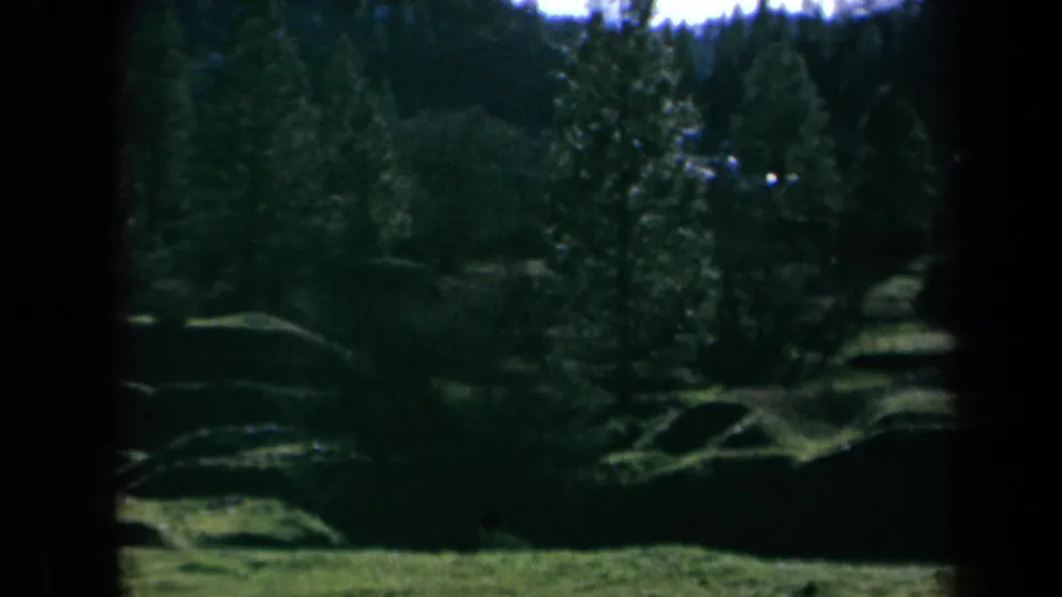 1969 California 8mm frame showing a green wooded landscape with evergreen trees, low hills, and a grassy foreground.