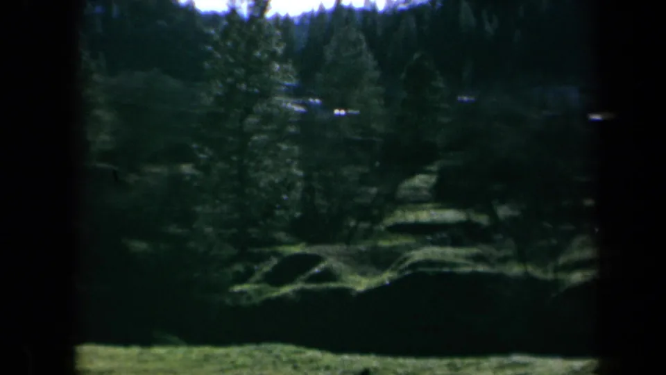 1969 California home-movie still of a wooded green landscape, with evergreen trees, rolling ground, and heavy shadow at the frame edge.