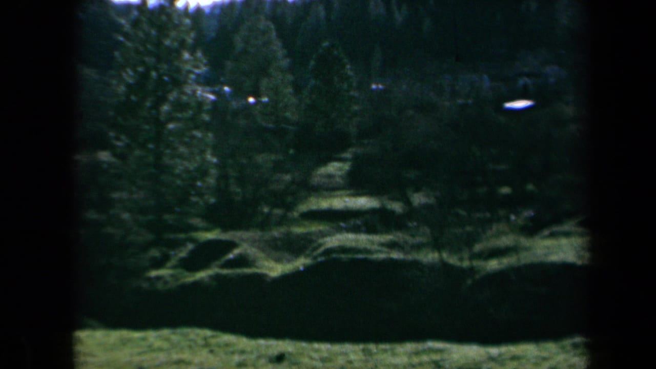1969 California 8mm frame showing a shaded wooded hillside and bright green pasture with soft focus and heavy edge vignetting.
