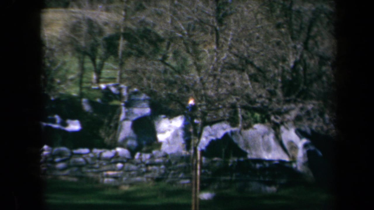 Child in a blue top stands on rocks in a wooded grassy landscape.