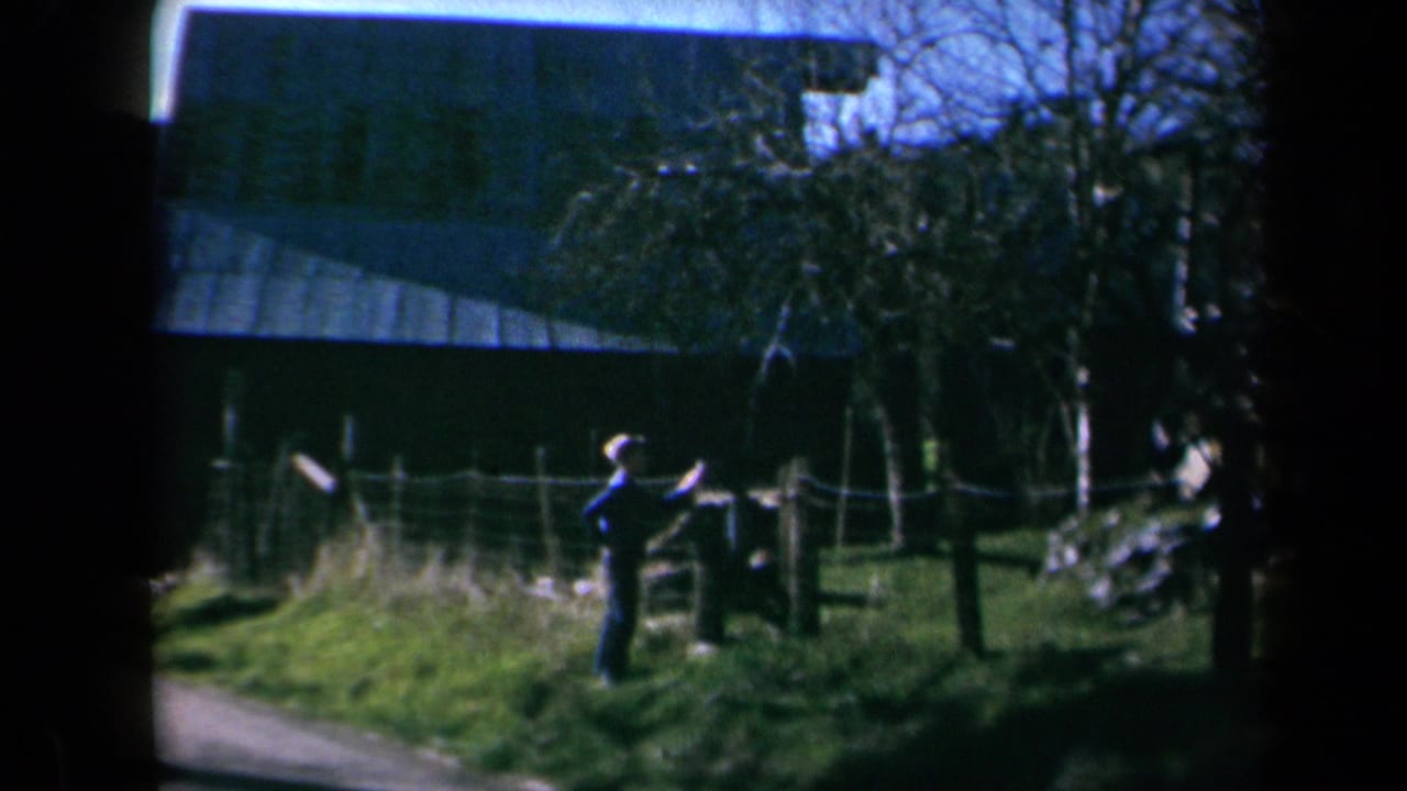 Boy in a light shirt leans near a wooden fence in a grassy rural yard.