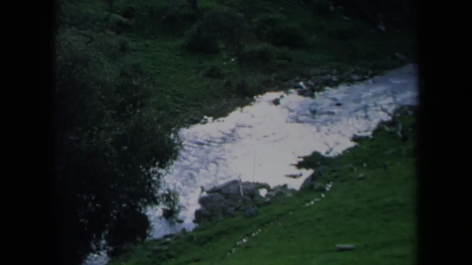 1969 California 8mm frame showing a rushing stream curving through grass, rocks, and dark brush.
