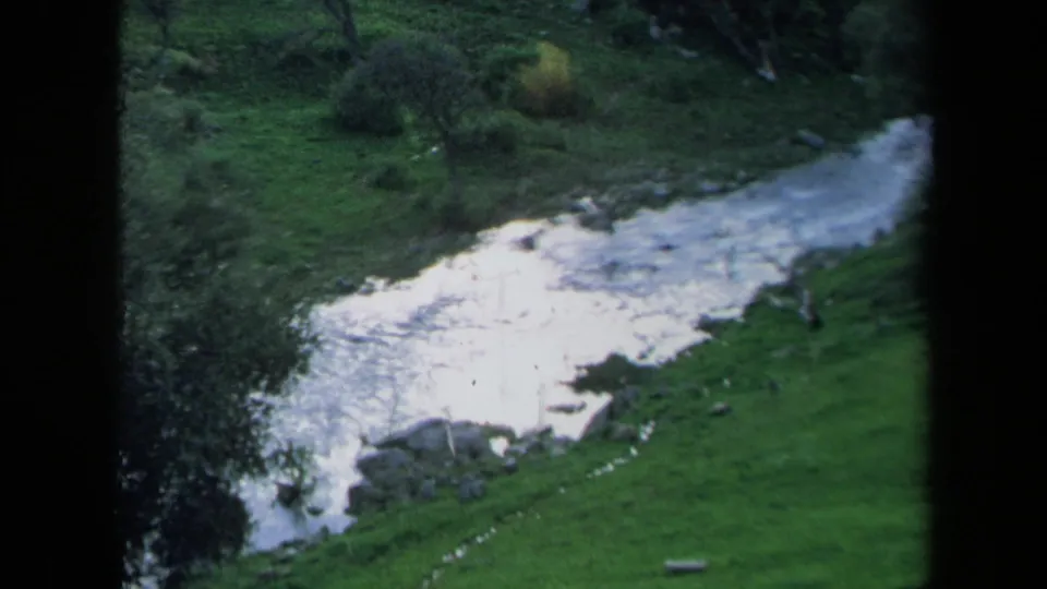 1969 California home-movie frame of a sunlit stream bordered by grassy banks, rocks, and dense vegetation.