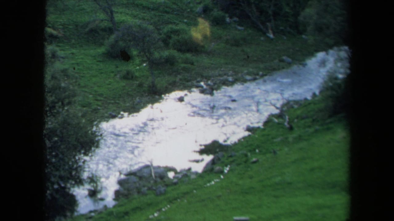 1969 California 8mm frame showing bright white water moving through green pasture with scattered trees and brush.