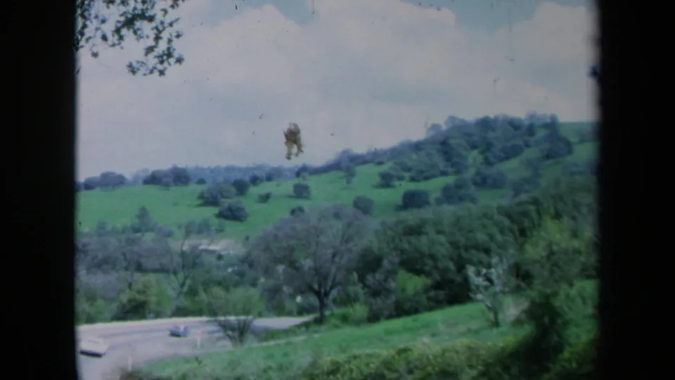 1969 California home-movie frame showing a wooded green hillside, pale sky, and road traffic below.