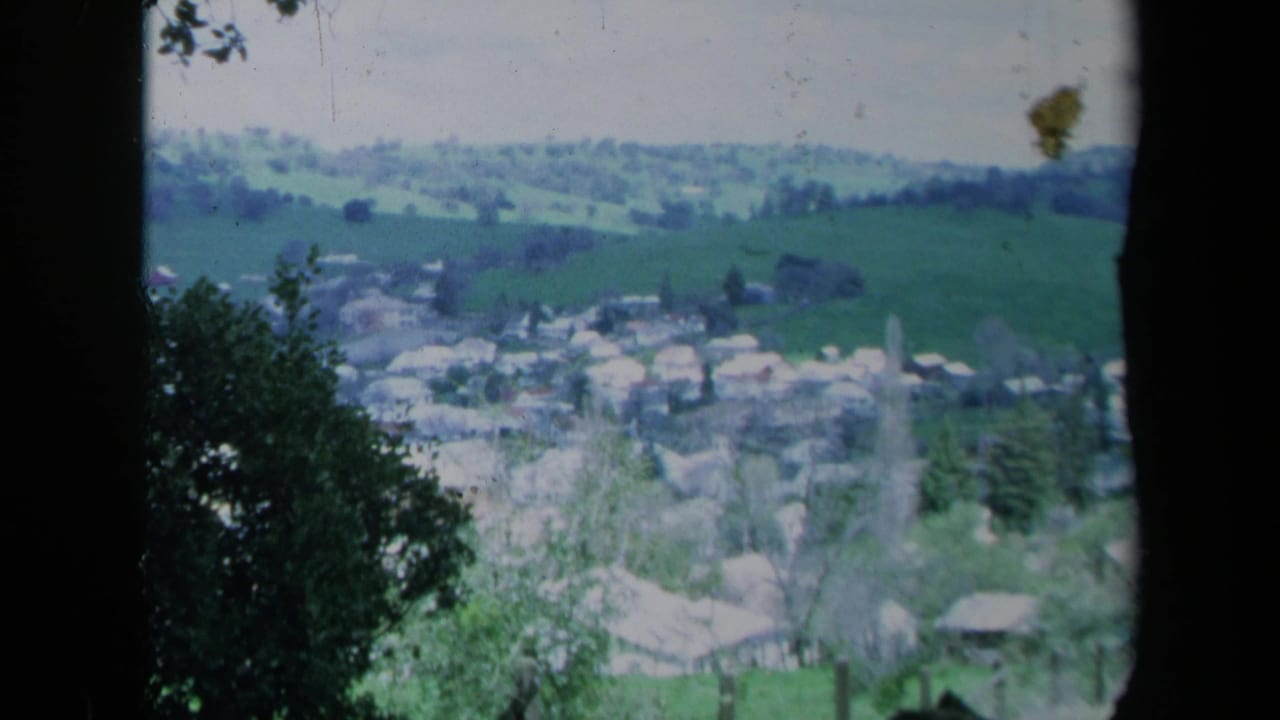 1969 California 8mm view of a town in a valley, seen from a hillside through dark trees and foreground leaves.