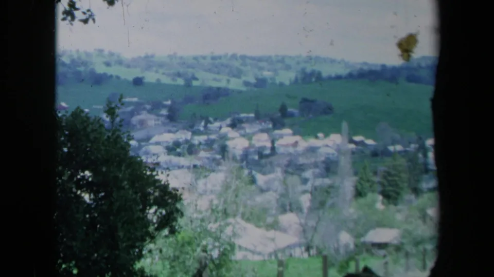 1969 California 8mm view of a town in a valley, seen from a hillside through dark trees and foreground leaves.