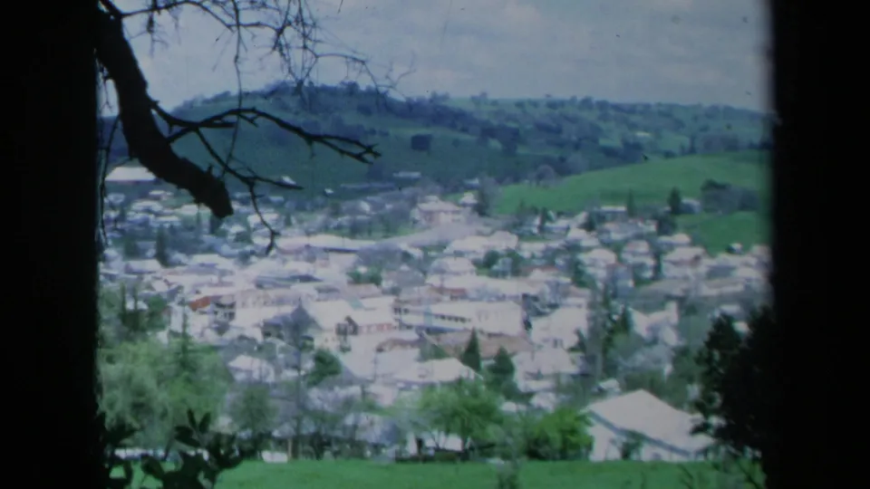 A hillside view of a California town in 1969, with rooftops and green fields partly obscured by a dark tree trunk.