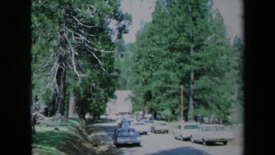 1969 California street scene with parked period cars along a shaded, tree-lined road and a small building ahead.