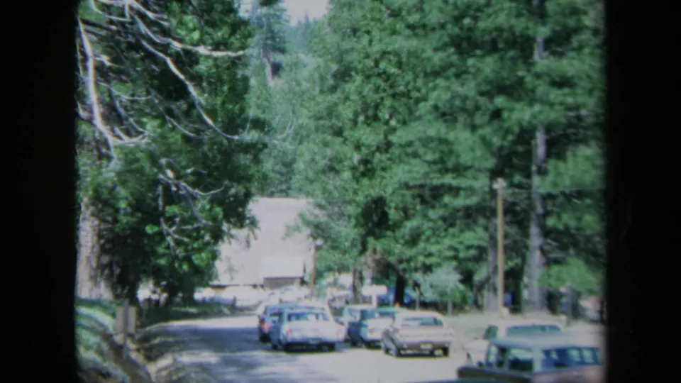 A late-1960s California home-movie frame shows parked cars along a shaded street bordered by dense trees and greenery.