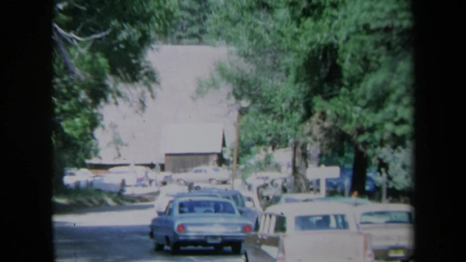 1969 California street view with late-1960s cars parked along the curb, trees overhead, and a wood-sided building in the background.
