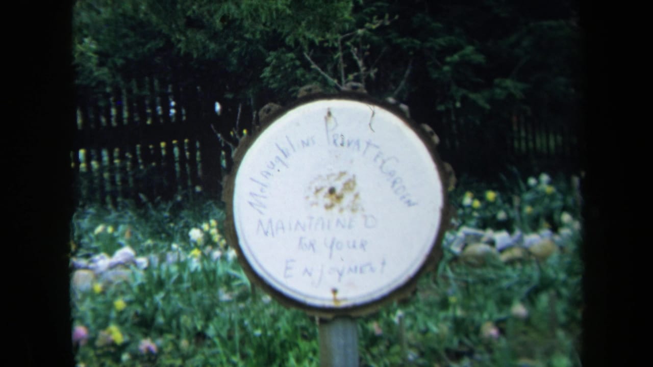 1969 California 8mm frame showing a worn circular sign for McLaughlin's Private Garden among foliage and yellow flowers.