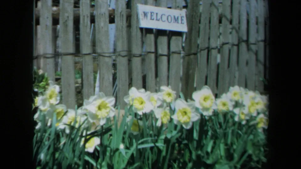 1969 California home-movie frame showing daffodils in bloom below a rustic fence with a small welcome sign above.