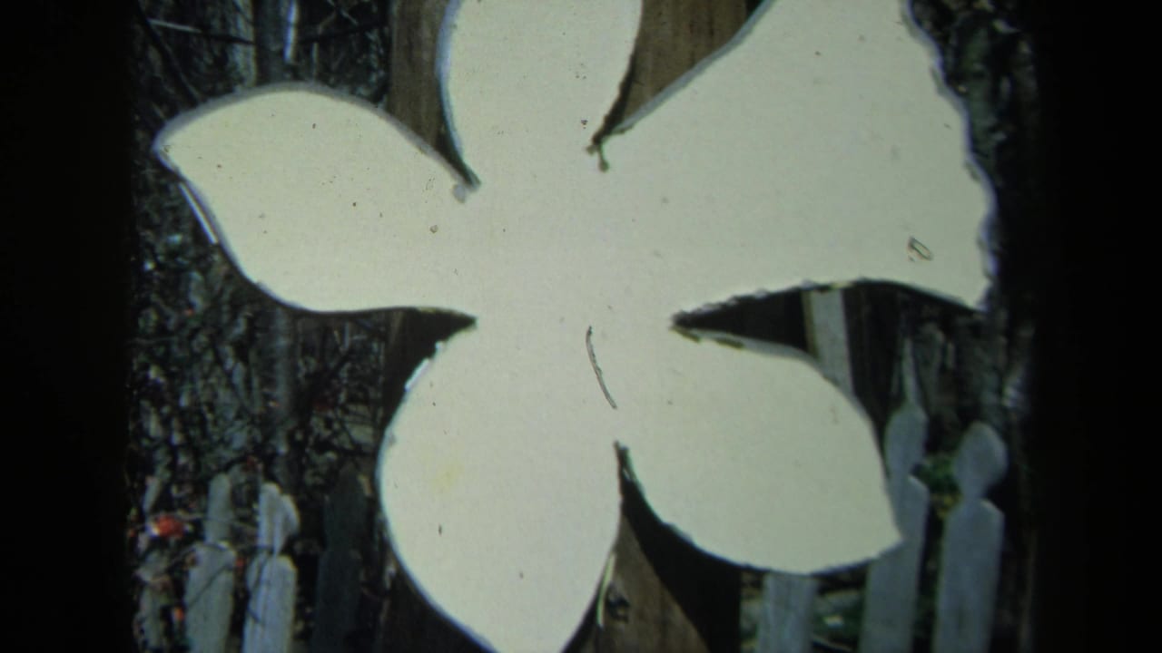 1969 California 8mm frame showing a white hand-cut flower sign before leafy shrubs and a pale picket fence.