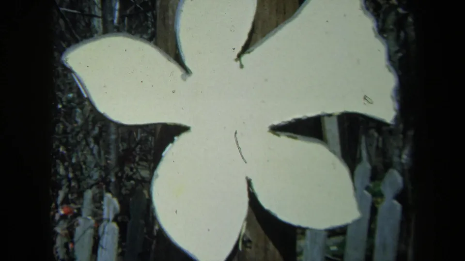 1969 California 8mm frame showing a white hand-cut flower sign before leafy shrubs and a pale picket fence.