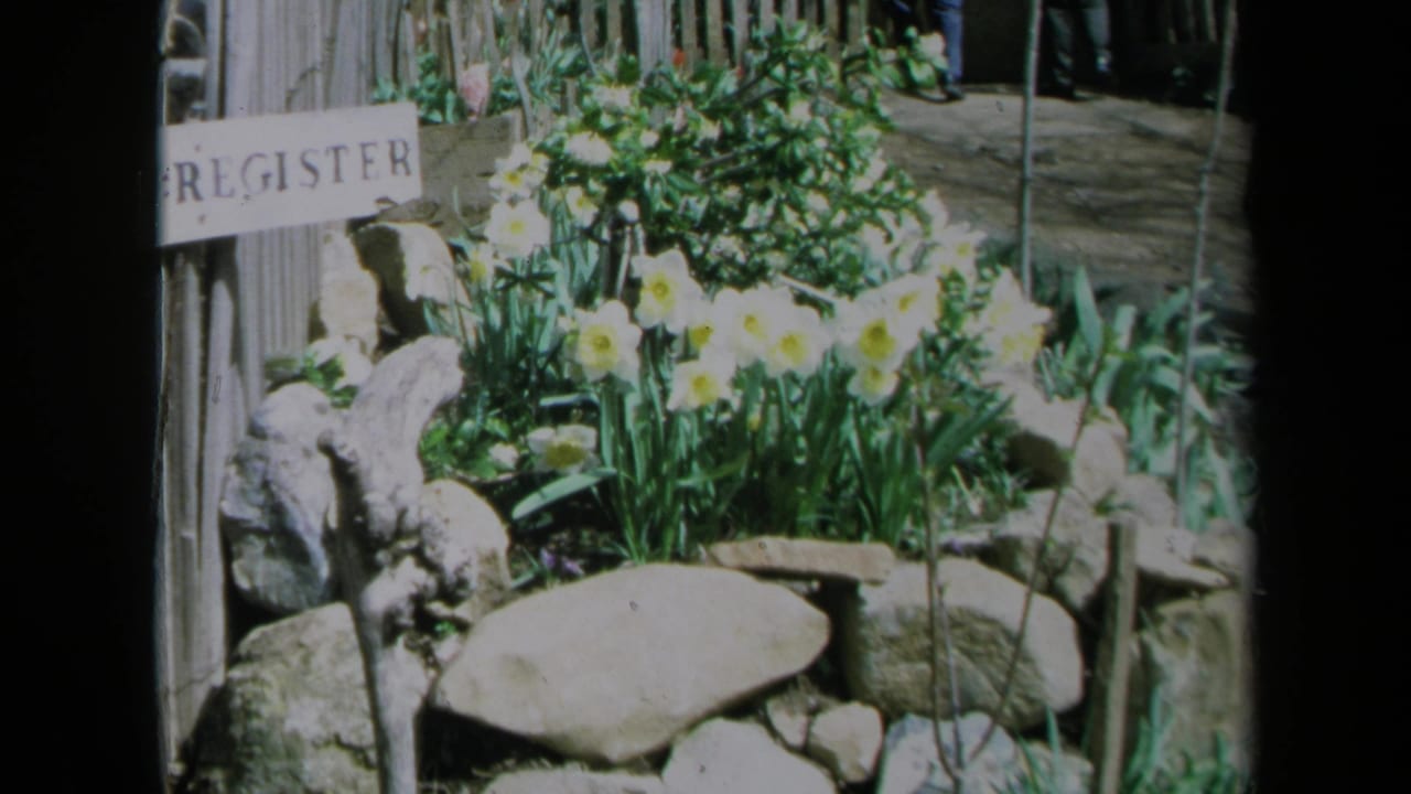 Garden flowers and stones with a REGISTER sign partly visible near a wooden fence.