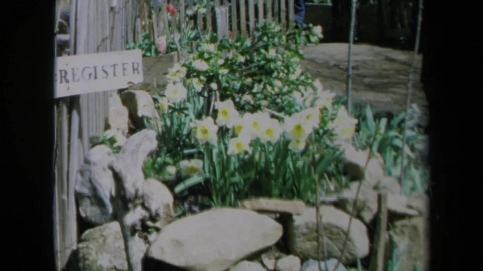 1969 California 8mm frame of a flower bed with daffodils, stone edging, fencing, and a REGISTER sign.
