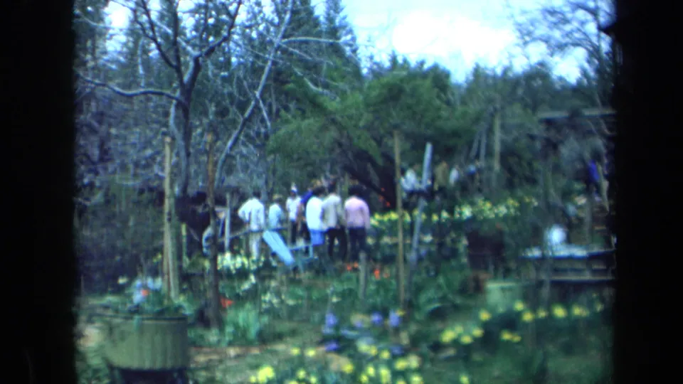 1969 California 8mm frame showing adults gathered in a lush garden with yellow flowers, trees, and dark foreground borders.
