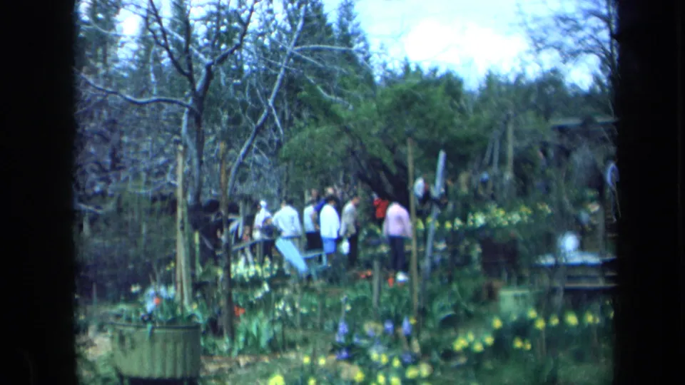 Handheld 8mm view of adults in a California garden, with yellow flowers, greenery, trees, and a possible pond edge in front.