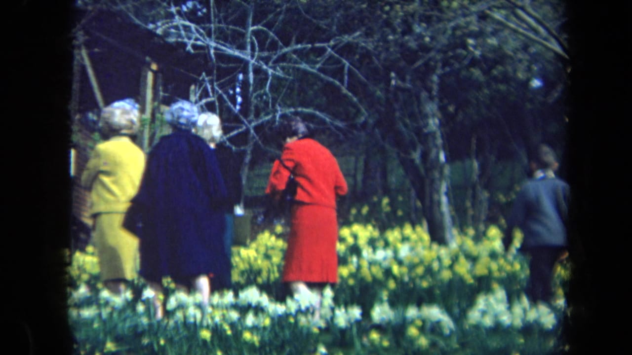 1969 California home-movie frame of older women in colorful coats walking through a daffodil-filled garden area.