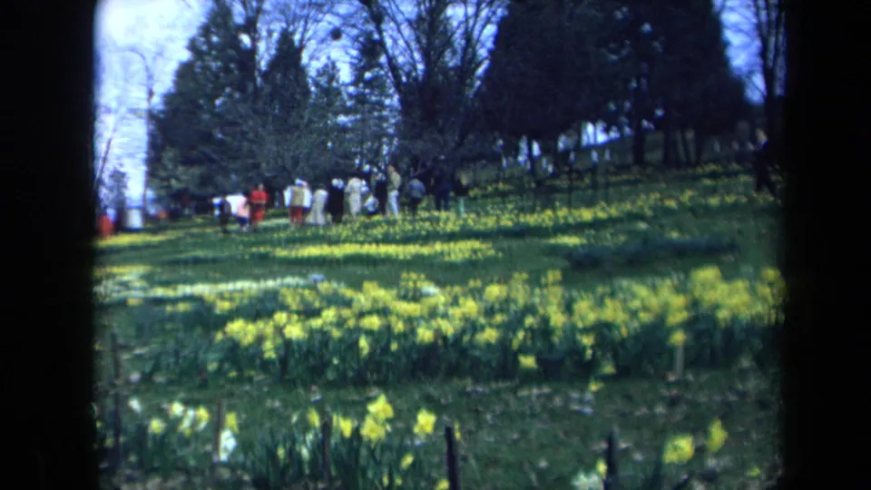 Soft 1969 California home-movie frame showing visitors near yellow flower beds on a tree-lined grassy hillside.