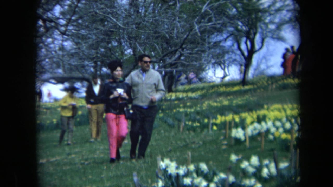 In 1969 California home-movie footage, a couple walks near daffodil beds while visitors move through a park-like garden behind them.