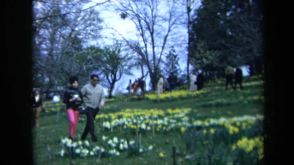 The couple moves downhill through daffodils in the supplied 1969 California 8mm footage, with other garden visitors behind them.