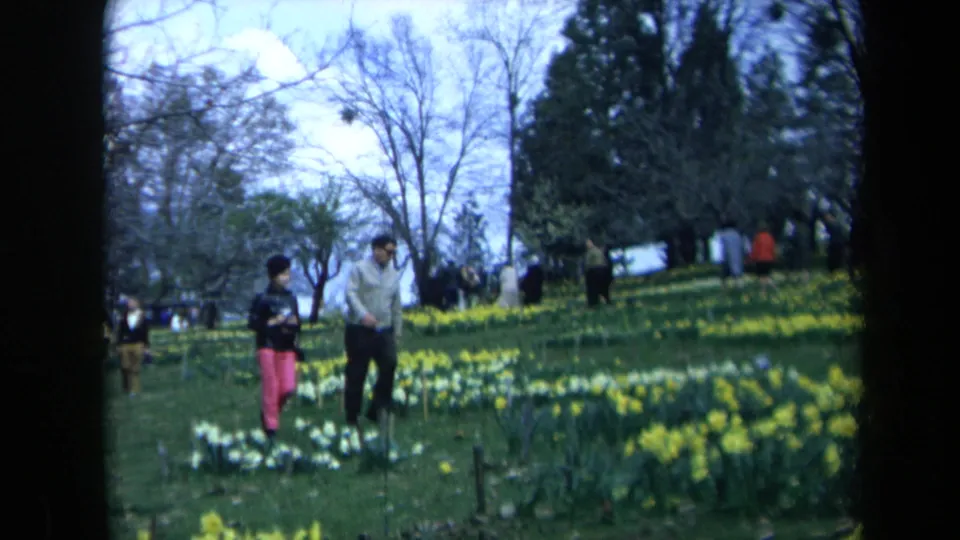 Near the end of the clip, the couple remains among yellow and white daffodils with scattered visitors and tall trees in the California garden setting.