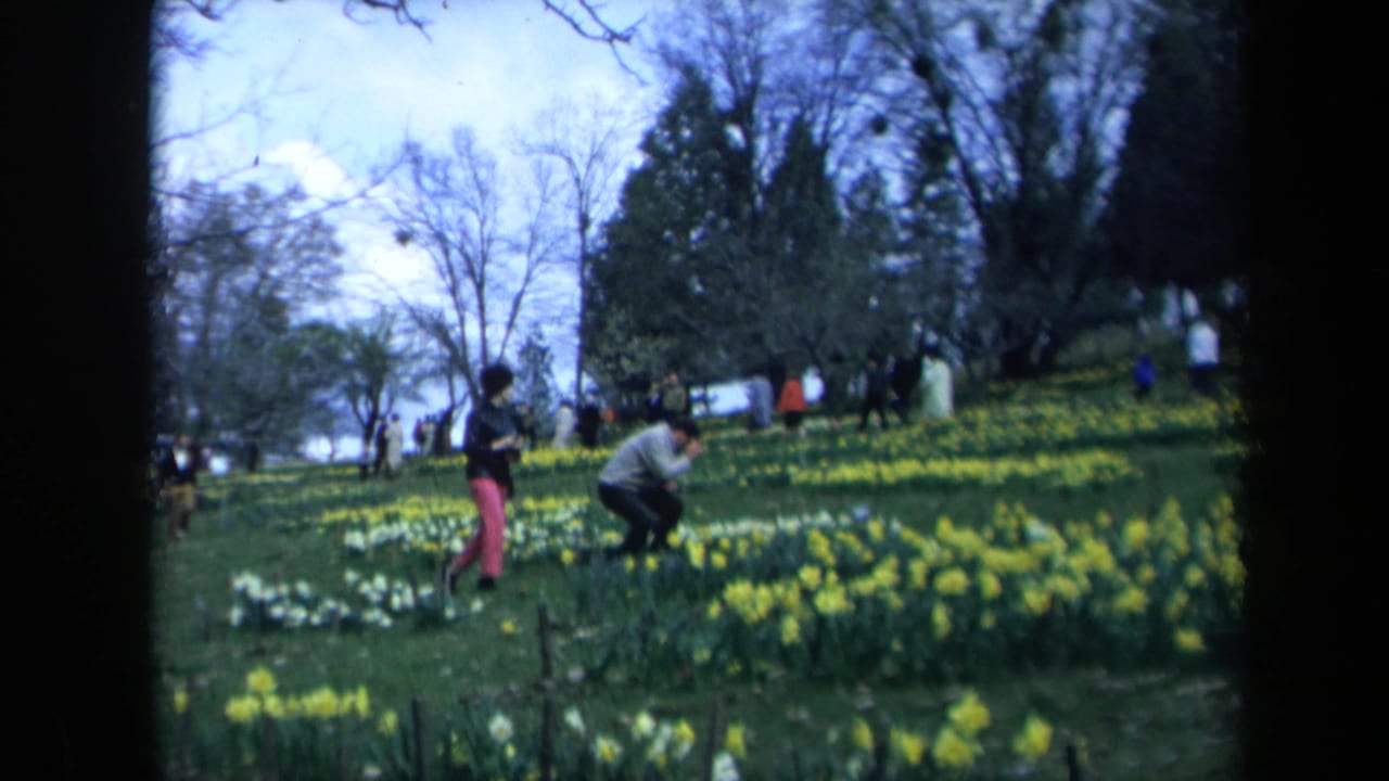 A woman stands near flowers while a man bends beside daffodils on a hillside.