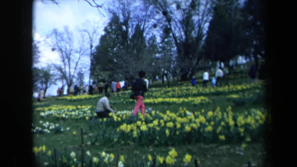 A man crouches among yellow daffodils as a woman stands nearby in this 1969 California home-movie frame.
