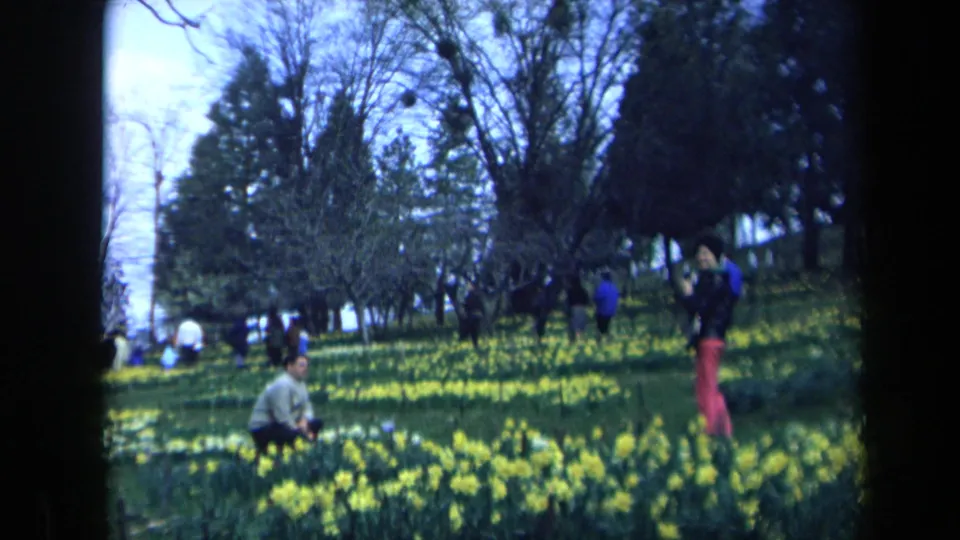 1969 California park scene with a kneeling man in the foreground and a woman holding a camera near yellow flowers.