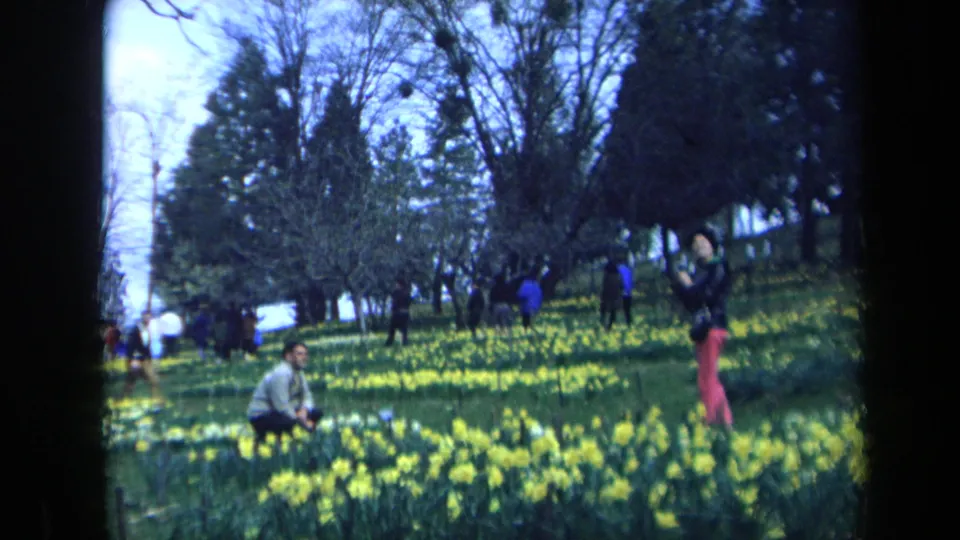 1969 California park footage showing a woman with a camera and a crouching man amid yellow daffodils and trees.