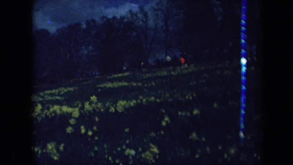 Underexposed 1969 California 8mm frame of a daffodil hillside, tree line, and distant visitors, with strong blue color shift and film edge marks.