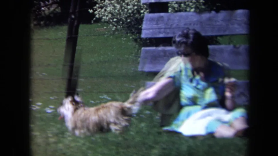 1969 California home-movie frame of a woman in sunglasses and a colorful dress sitting near a bench with a small terrier.