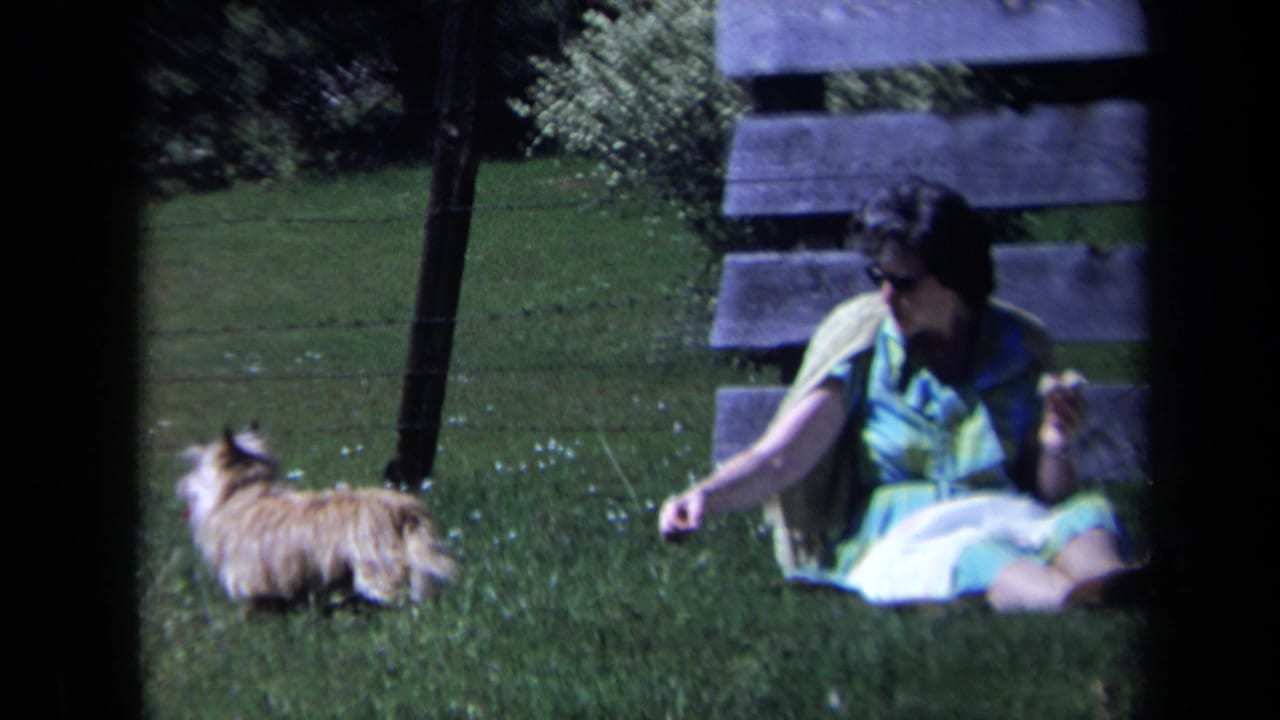 In 1969 California home-movie footage, a woman in a colorful dress sits on a lawn and offers food to a small shaggy dog.