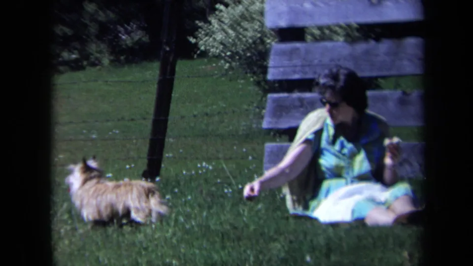 In 1969 California home-movie footage, a woman in a colorful dress sits on a lawn and offers food to a small shaggy dog.
