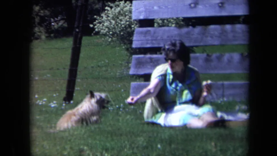 A woman in sunglasses and a bright dress leans forward on a California lawn as a small shaggy dog moves closer.