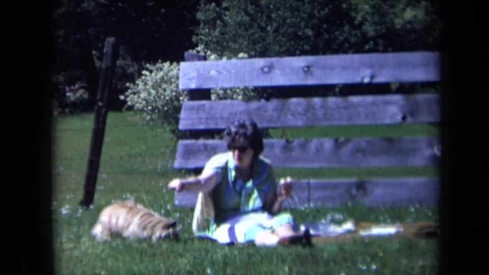 The dog moves close to the seated woman’s hand on a California lawn, with a wooden fence or bench-like structure behind them.
