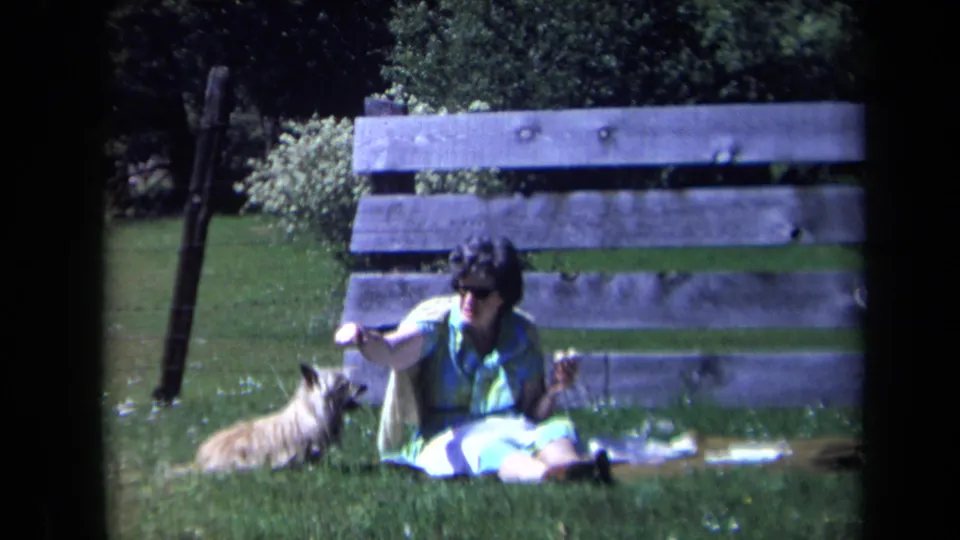 A woman in sunglasses sits on the grass and holds her hand near a small dog, captured in soft 8mm color with dark frame borders.