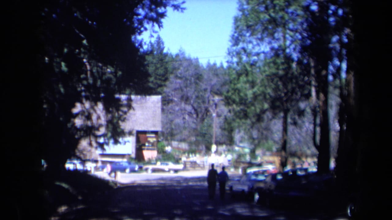 1969 California home-movie frame showing a shaded road near Daffodil Hill with parked cars, tall trees, and two visitors walking in the distance.